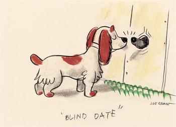Lady and The Tramp